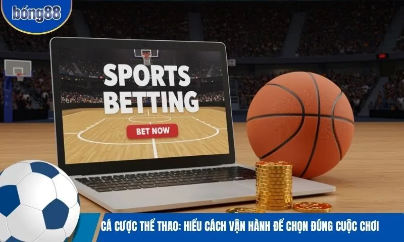 Cá cược thể thao: Hiểu cách vận hành để chọn đúng cuộc chơi