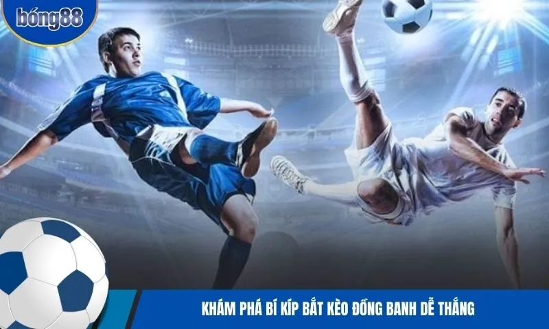 Chia sẻ bí kíp chinh phục kèo đồng banh hiệu quả