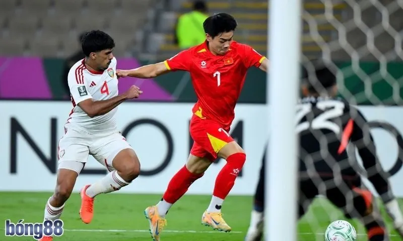 Cách tiếp cận kèo châu Á theo hướng bền vững