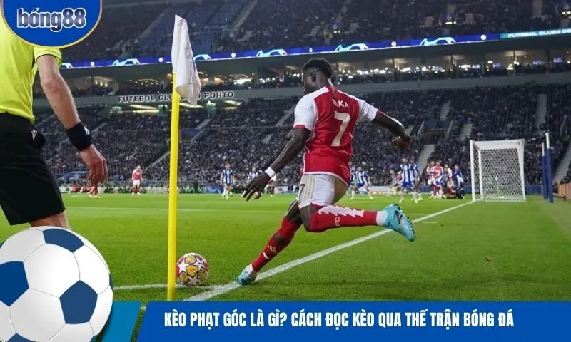 Kèo phạt góc là gì? Cách đọc kèo qua thế trận bóng đá