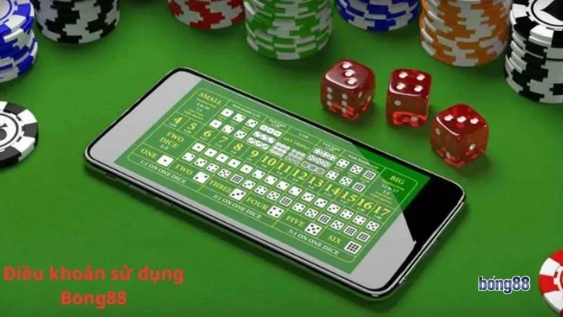 Khám phá chi tiết các điều khoản quan trọng trong chính sách