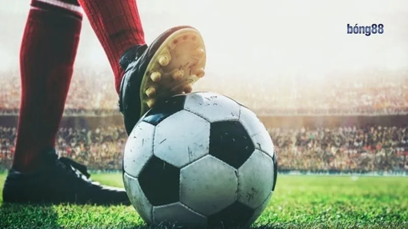 Loại bảo hiểm hoàn trả