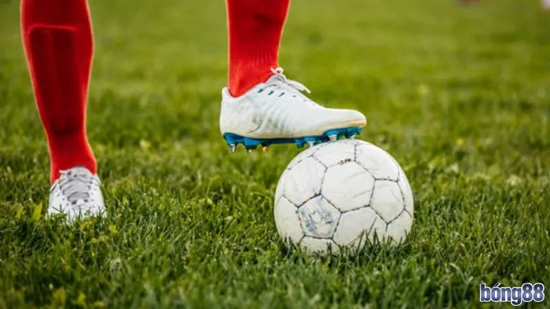 Theo dõi tỷ lệ kèo có sự biến động hay không trước khi đặt cược